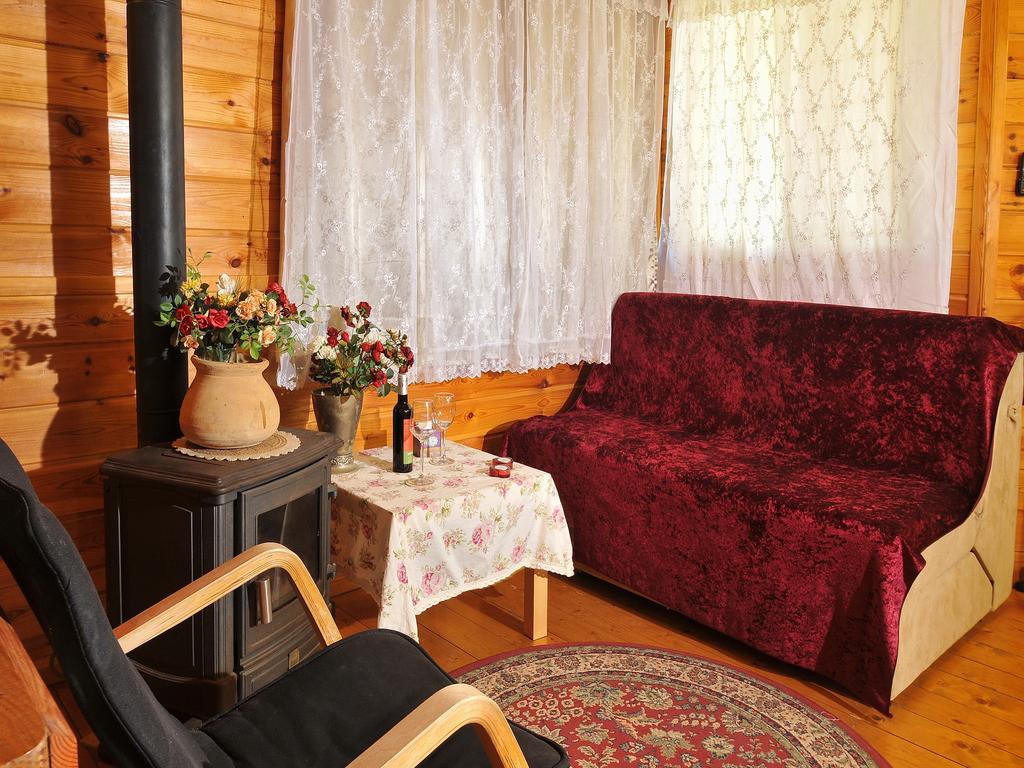 The Galilee Cabin Villa Arbel Værelse billede